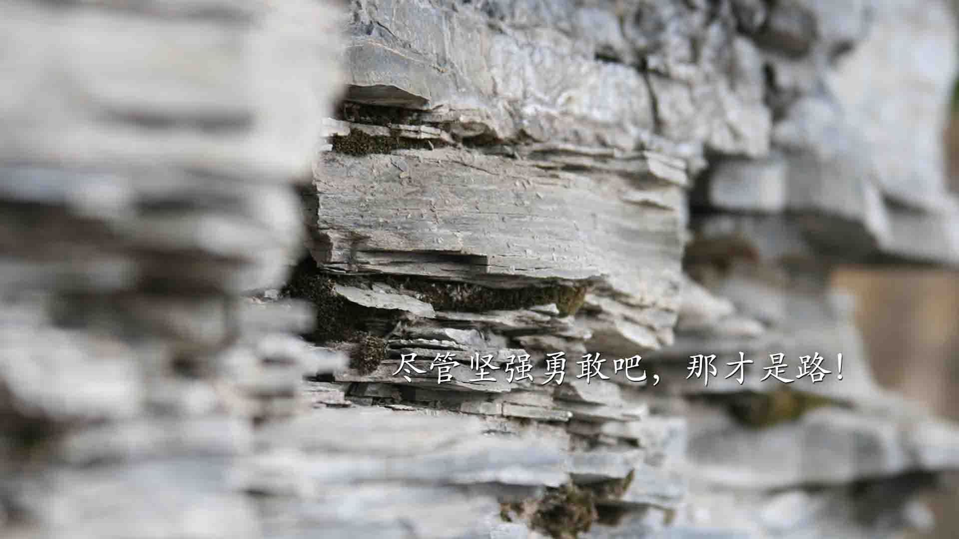 欧冠上演NBA式绝杀,绿茵老鹰撕裂勇士防线,93分钟奇迹改写命运