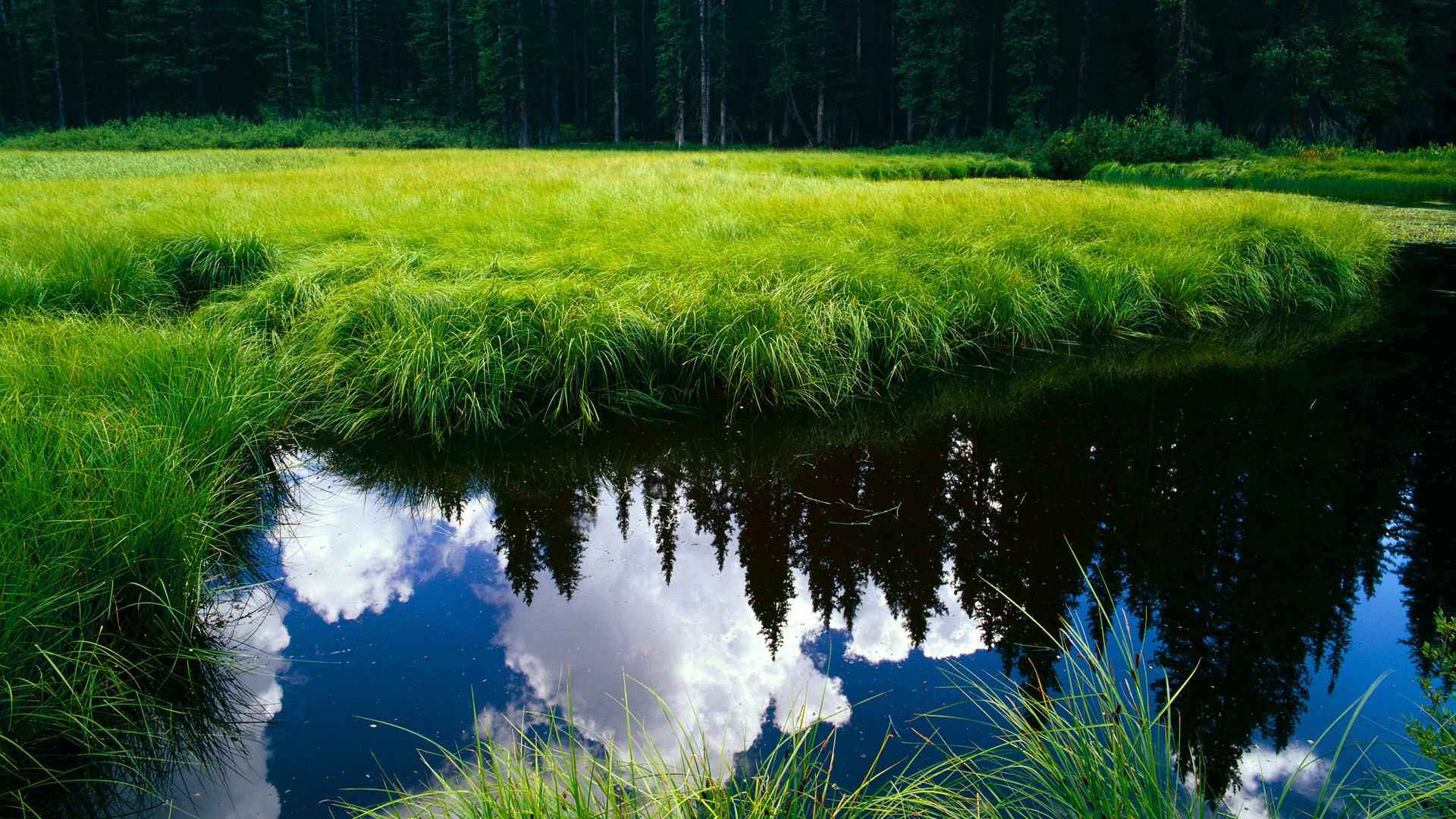 开云体育官网-禁区倒挂金钩，克莱的跨维度救赎