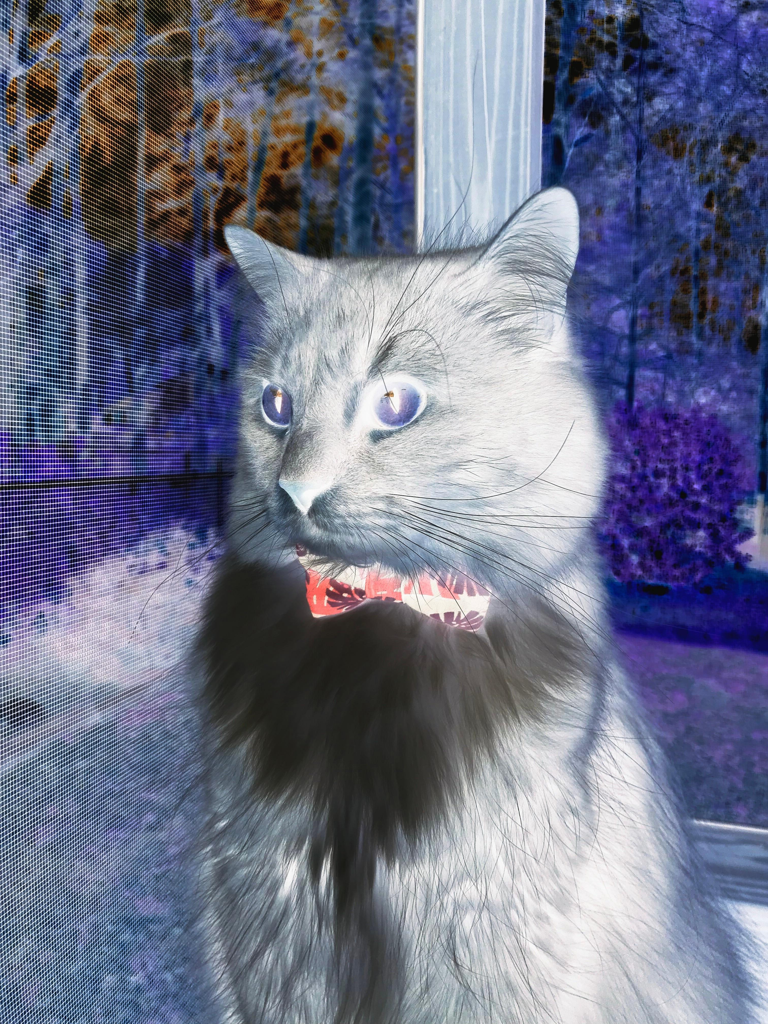 单挑神迹,莫兰特在摩纳哥隧道里抹杀了F1的悬念