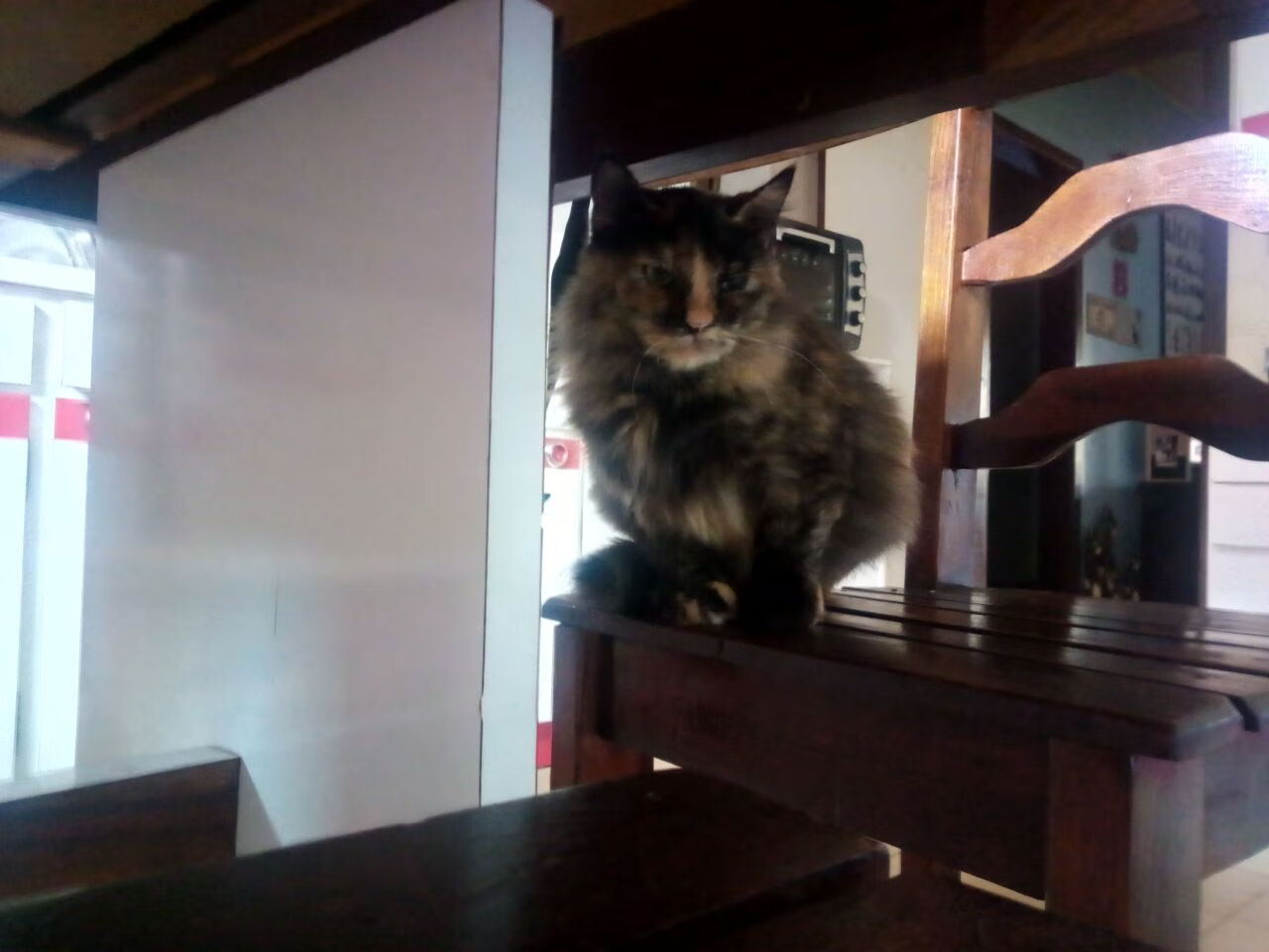 最不会投篮的巨星,森林狼凭什么撕碎雄鹿夺冠梦?