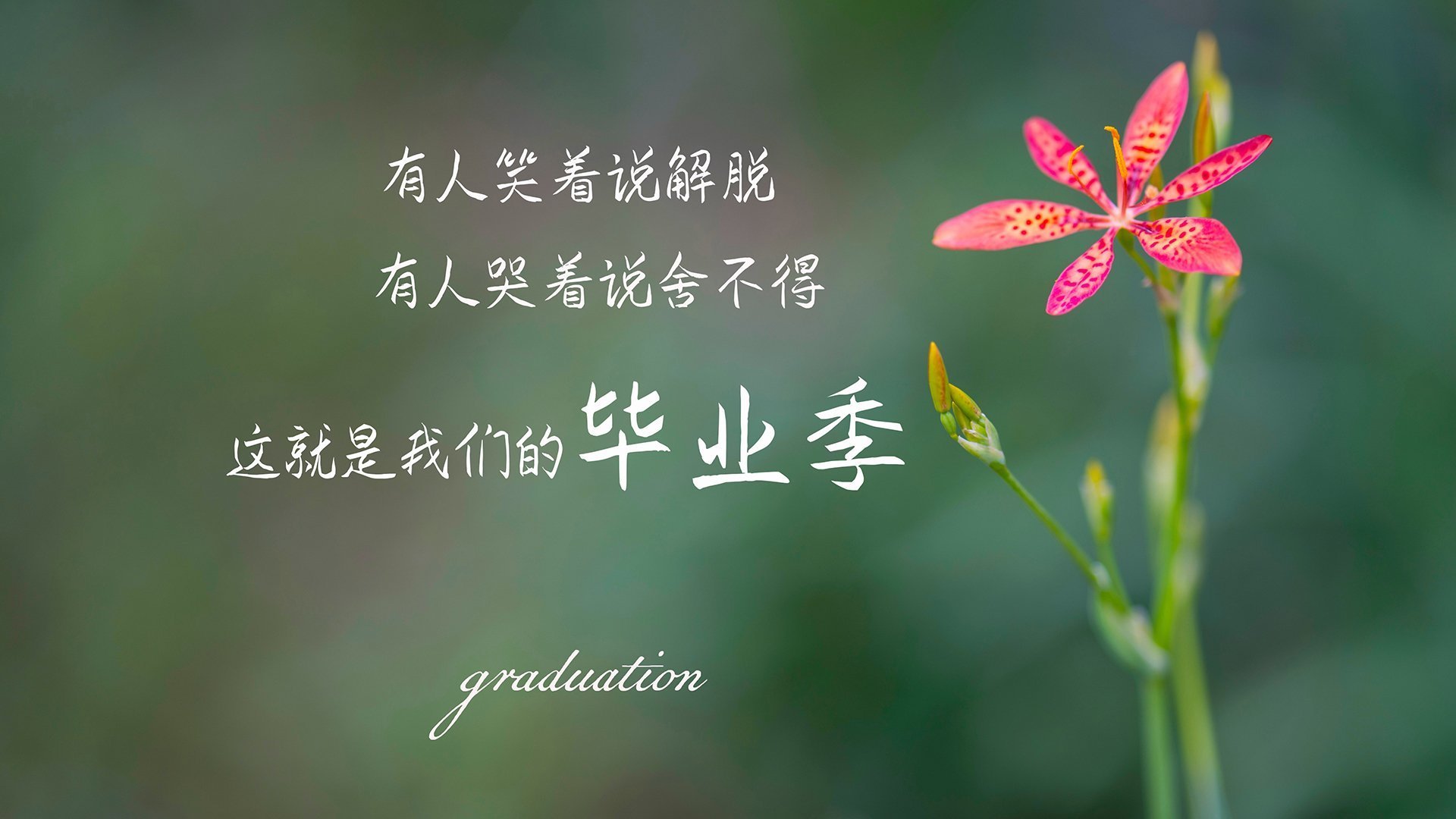 城市之光,爱德华兹为上海队献上教科书级教学