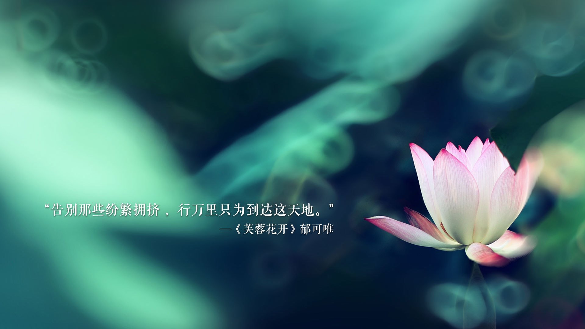 北欧海盗折戟日耳曼战车,佩德里领奏橙色狂想曲,奥地利中场绞杀挪威巨人