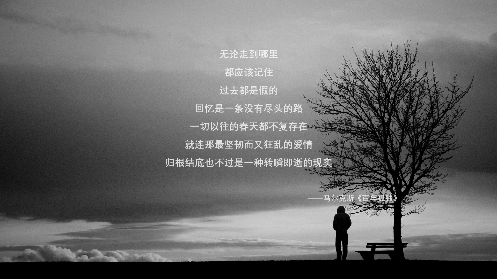 东方力量，当塔雷米成为桑巴舞曲中的变奏音符—2026世界杯H组巴西vs日本战记