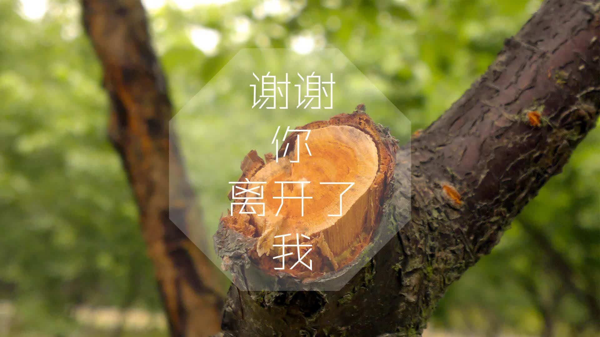 蓝武士的午夜狂想曲,穆西亚拉独舞,日本绝杀乌拉圭,奏响2026世界杯最强心跳